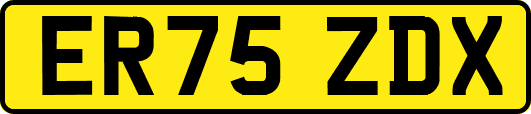 ER75ZDX