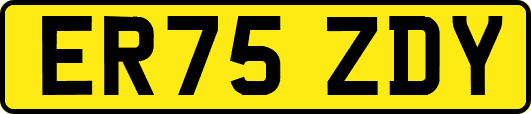 ER75ZDY