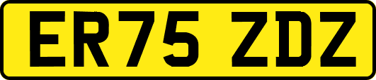 ER75ZDZ