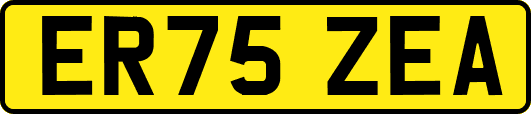 ER75ZEA
