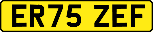 ER75ZEF