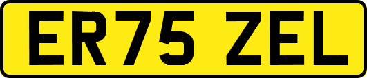 ER75ZEL