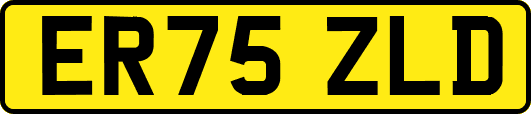 ER75ZLD