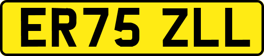 ER75ZLL