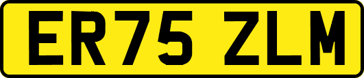 ER75ZLM
