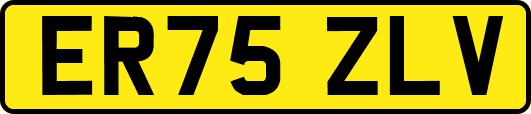 ER75ZLV
