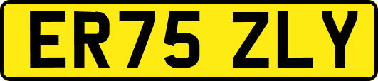 ER75ZLY