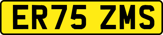ER75ZMS