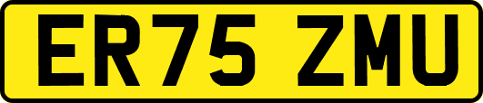 ER75ZMU