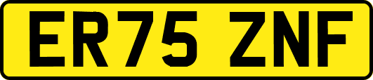 ER75ZNF