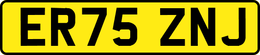 ER75ZNJ