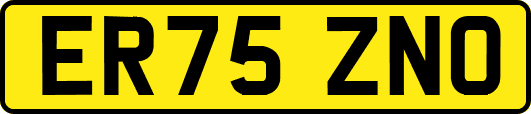 ER75ZNO