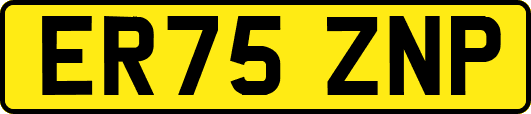 ER75ZNP