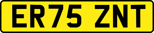 ER75ZNT