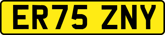 ER75ZNY