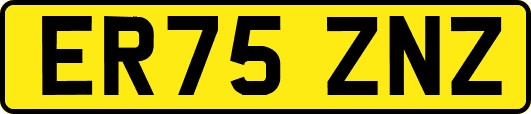 ER75ZNZ