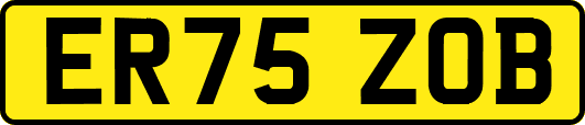 ER75ZOB