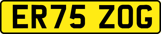 ER75ZOG