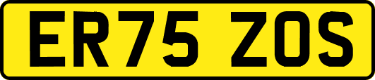 ER75ZOS