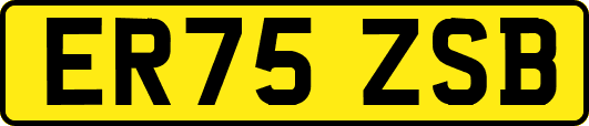 ER75ZSB