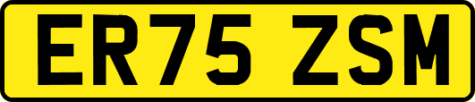 ER75ZSM