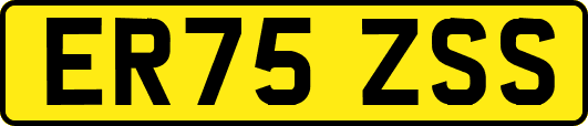 ER75ZSS