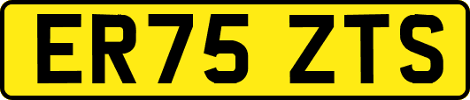 ER75ZTS