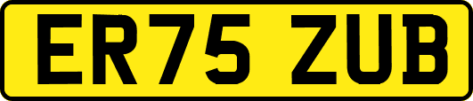 ER75ZUB