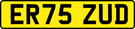 ER75ZUD