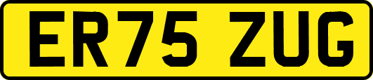 ER75ZUG