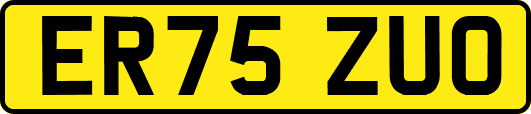 ER75ZUO