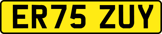 ER75ZUY