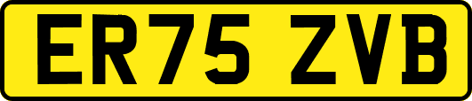 ER75ZVB