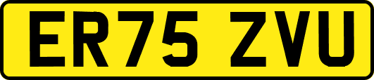 ER75ZVU