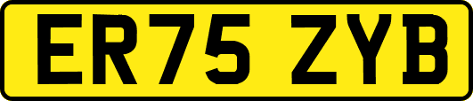 ER75ZYB