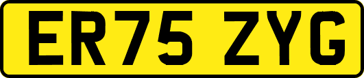 ER75ZYG