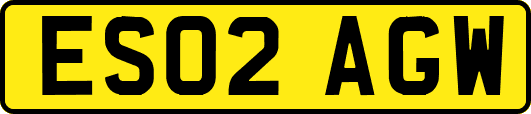 ES02AGW