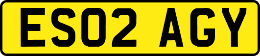ES02AGY