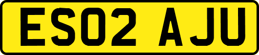 ES02AJU