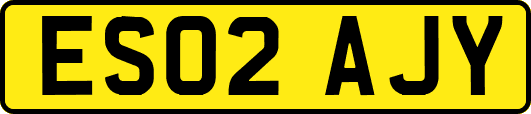 ES02AJY