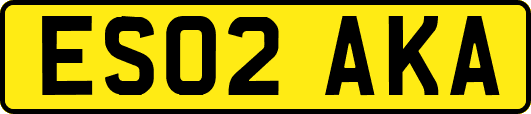 ES02AKA