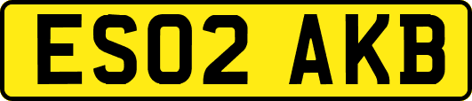 ES02AKB