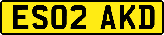 ES02AKD
