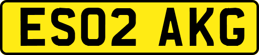 ES02AKG