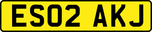ES02AKJ