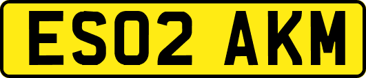 ES02AKM
