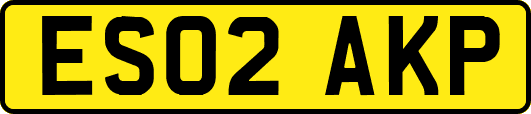 ES02AKP