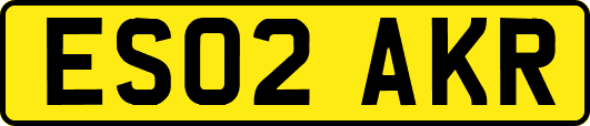 ES02AKR