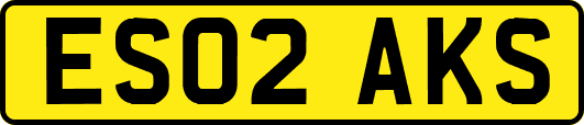 ES02AKS