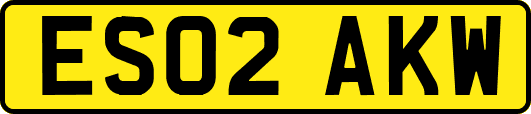 ES02AKW